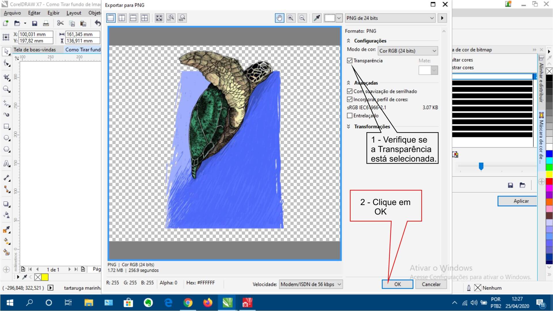 passo a passo como tirar fundo de imagem com Corel Draw