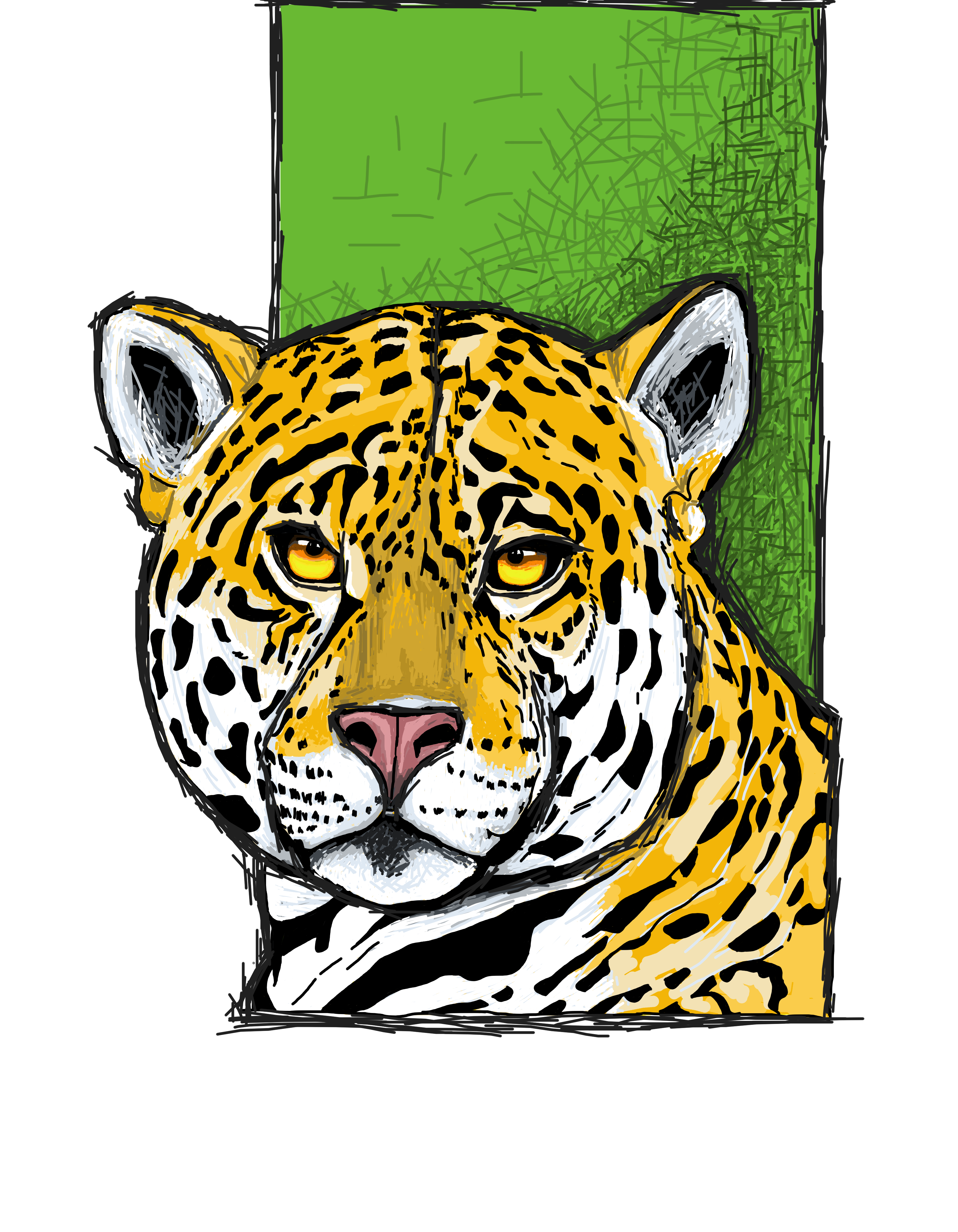 Camiseta onça pintada